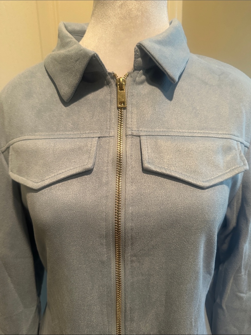 NEW Women's Light Blue Fringe Suede Dress with Zip Front - Picture 5 of 6